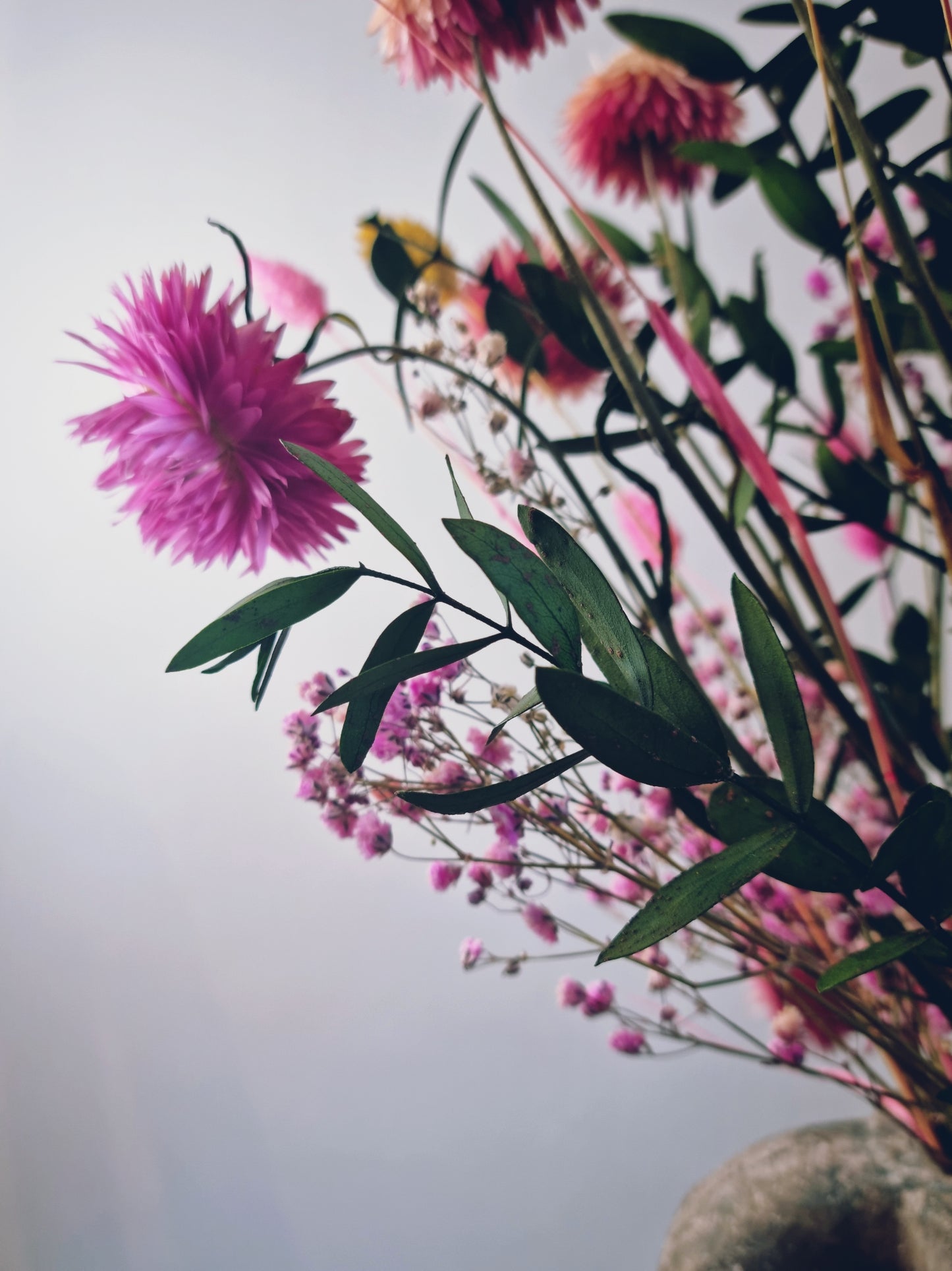 Dried Flowers UK