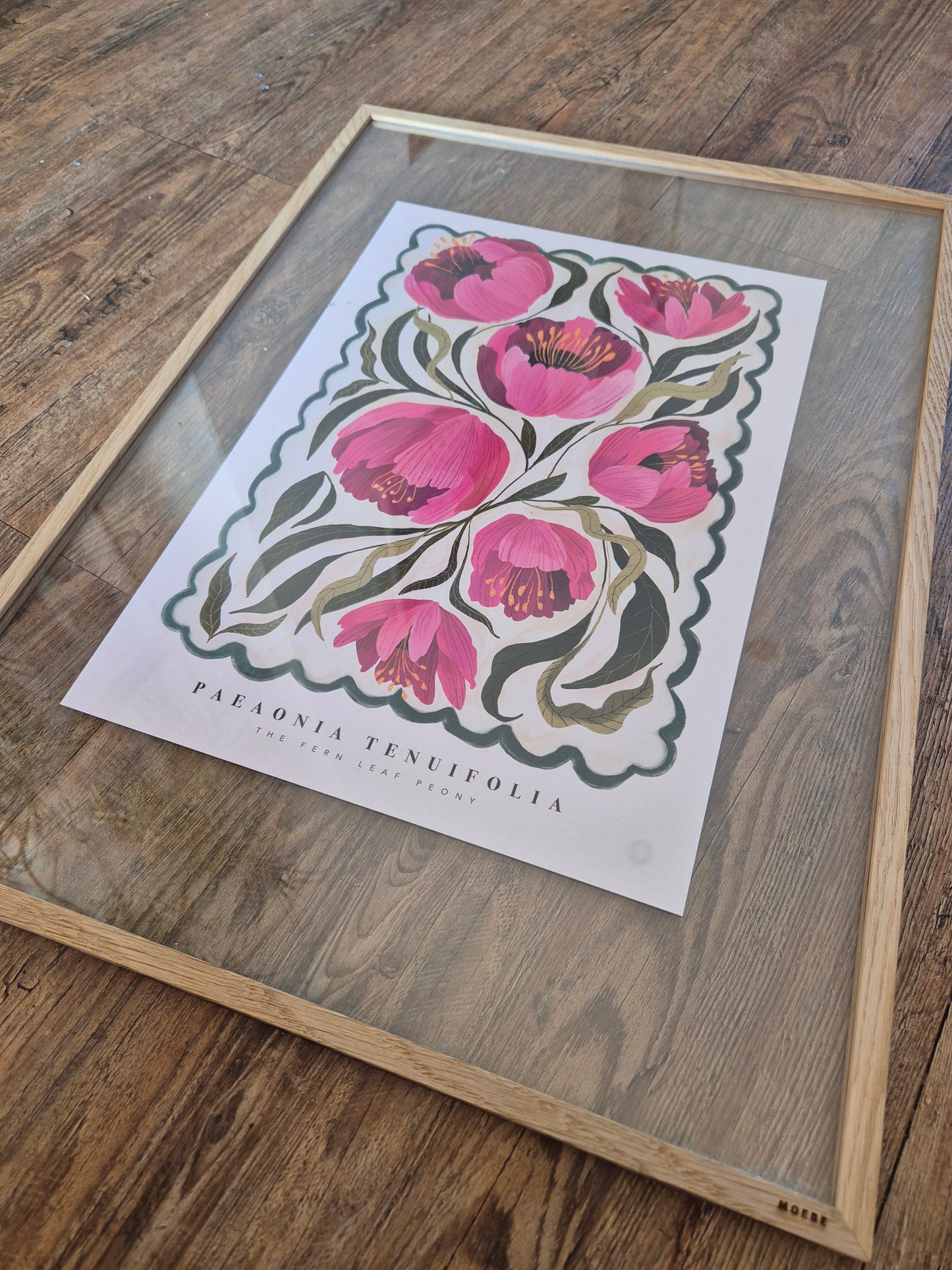 Kate Fox Design - The Fern Leaf Peony