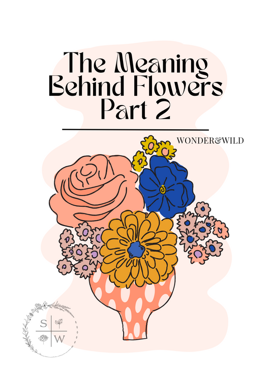 The Meaning behind Flowers, Part 2