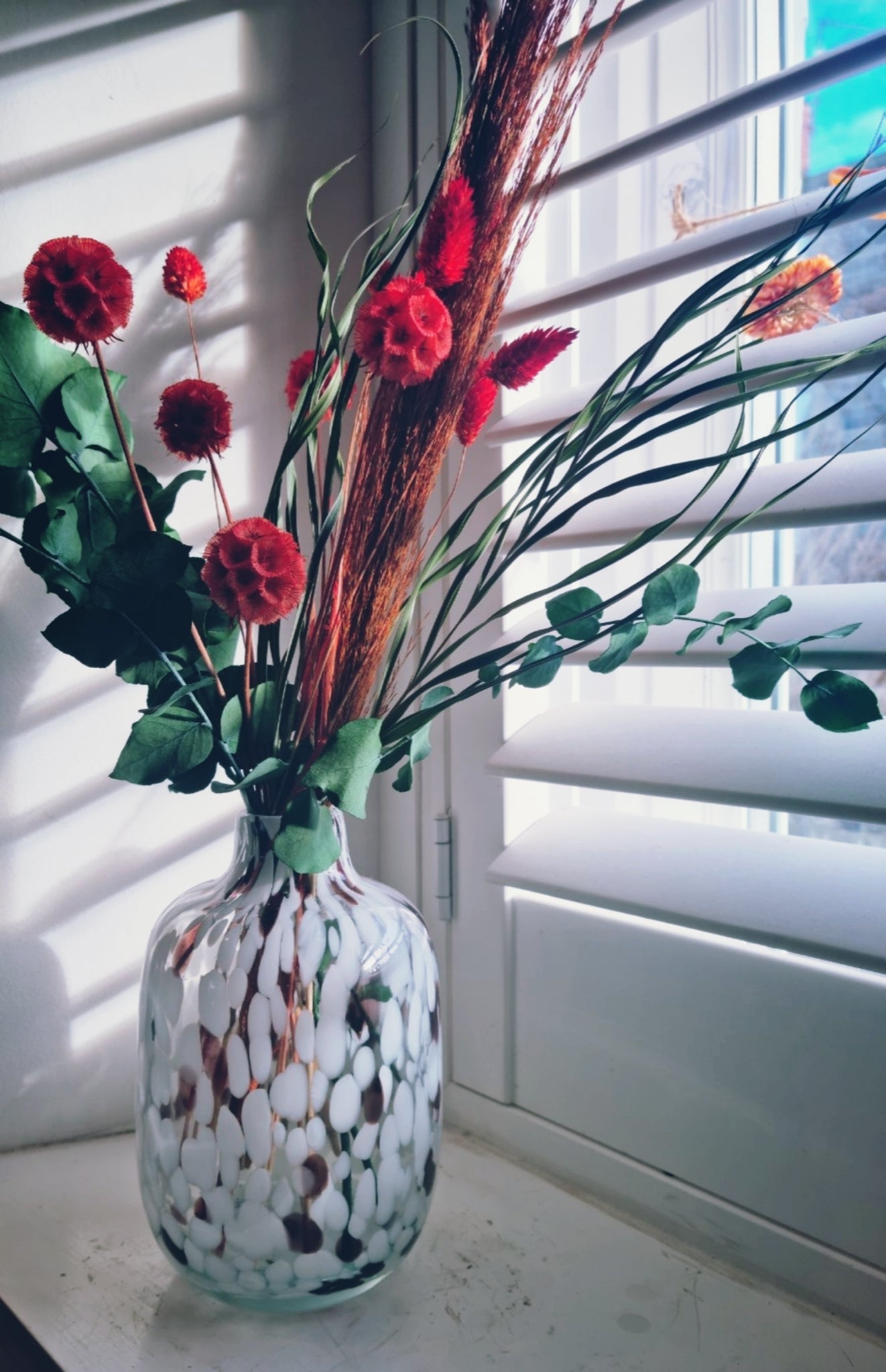 Dried Flowers UK