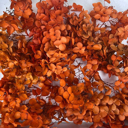 Burnt Orange, Dried Flower Crowns