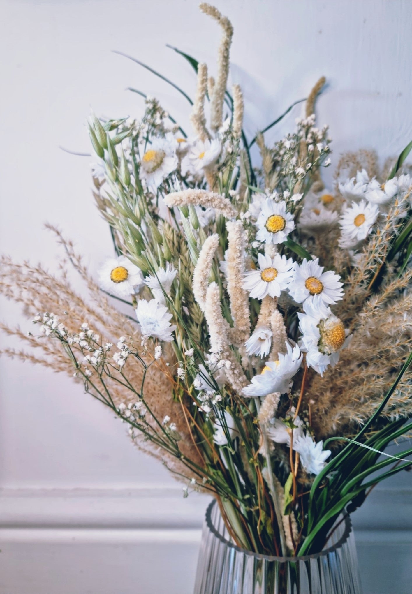 Dried Flowers UK