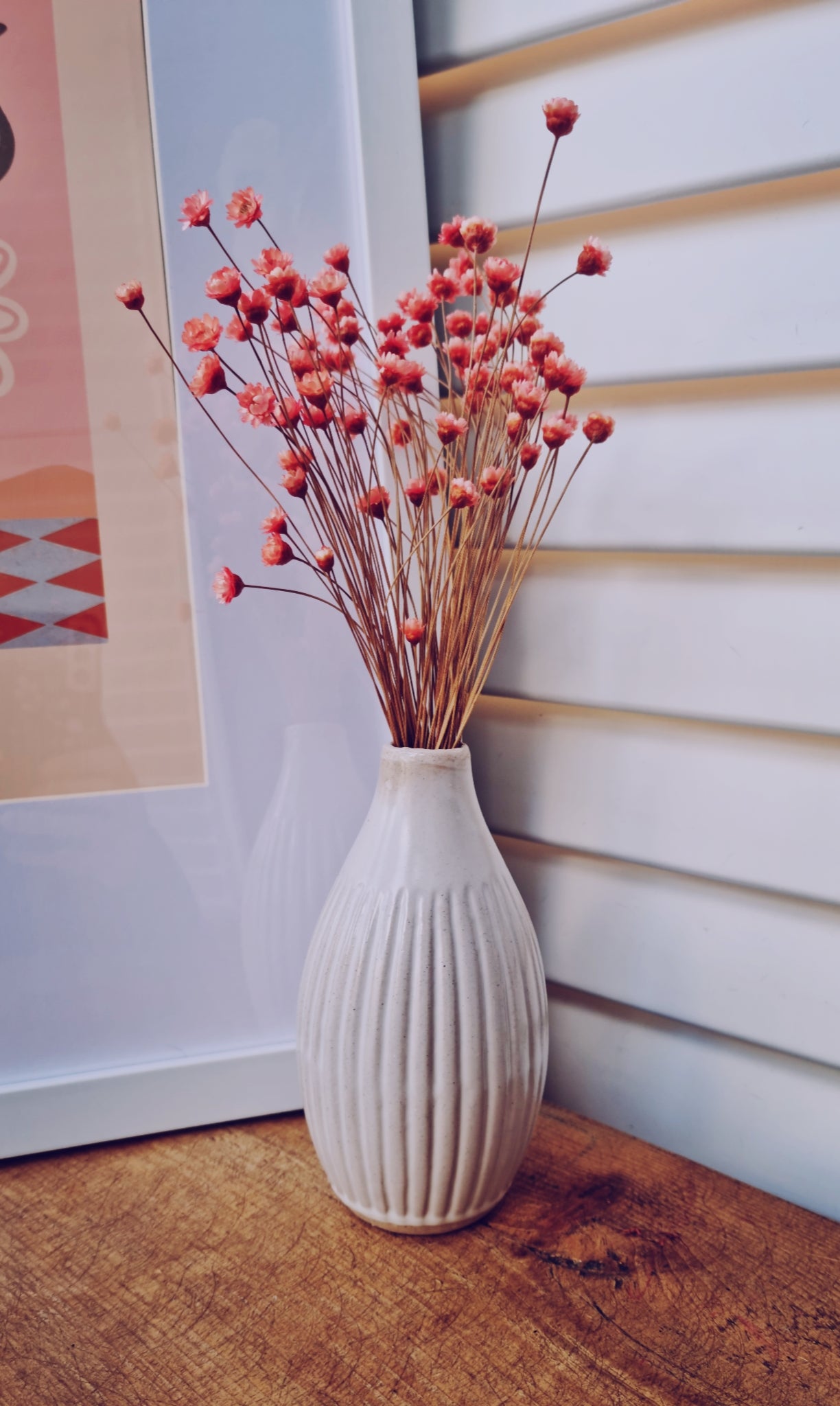 Dried Flowers UK