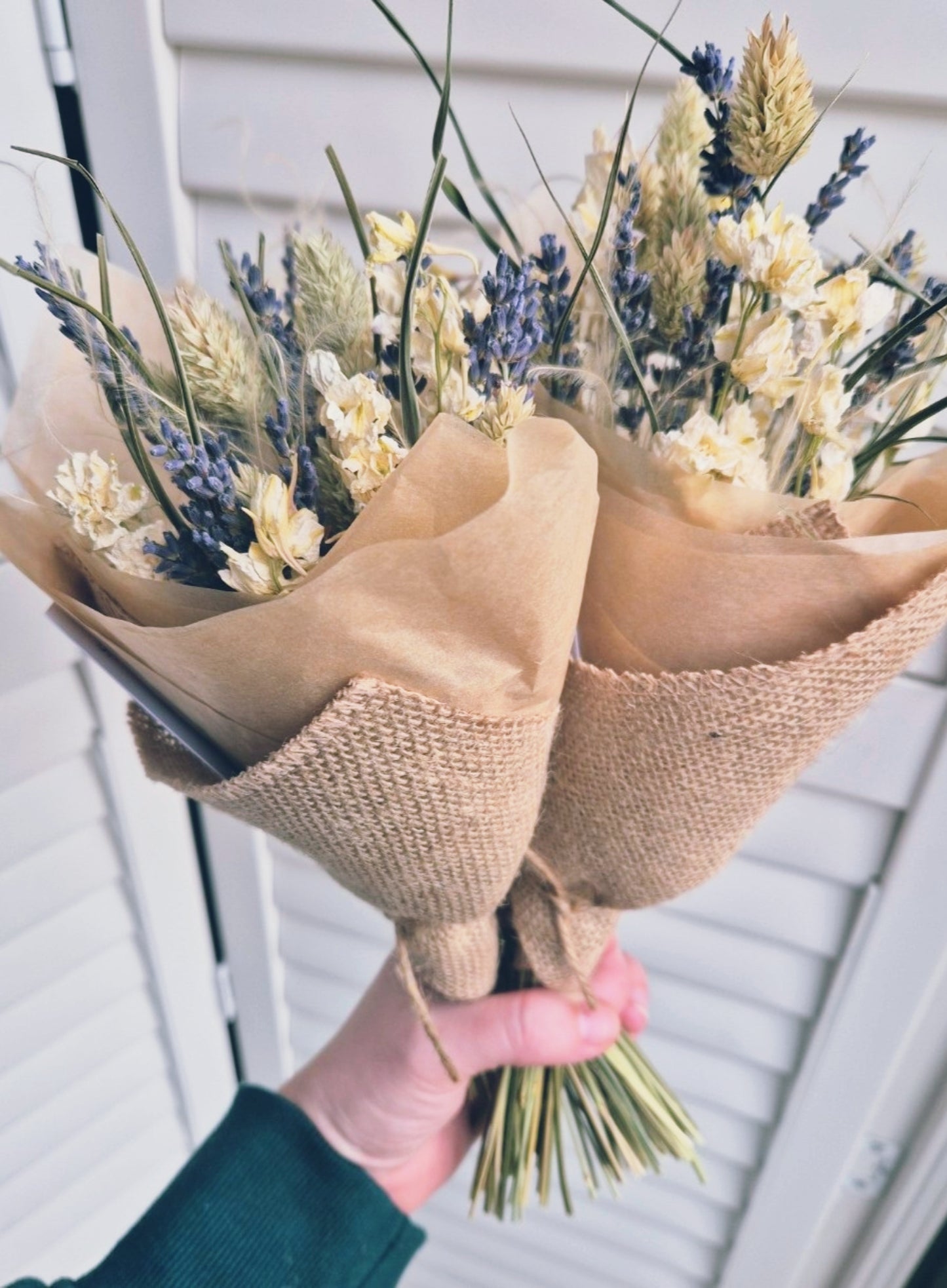 Dried Flowers UK