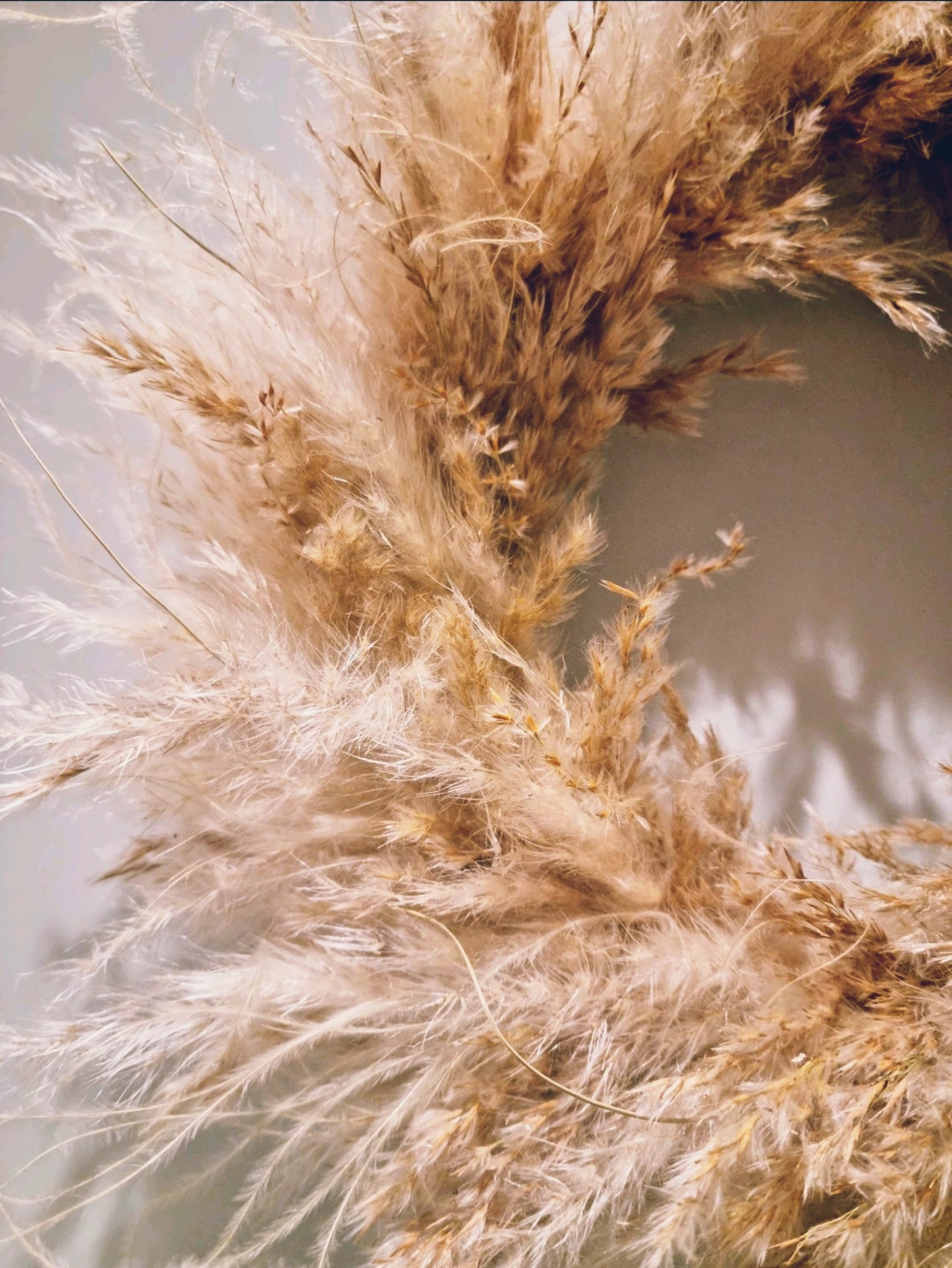 Dried Flower Wreath